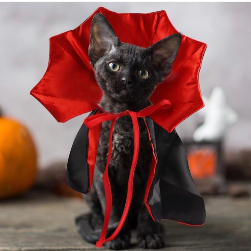 Vampire Bat Cat or Small Dog Costume Red/Black Satin by Ablaze Zai NEW